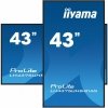 IIYAMA Monitor 42.5 cala ProLite LH4375UHS-B1AG, 24^7,IPS,ANDROID.11,4K,500cd^m2,WiFi,3xHDMI,DP,Daisy^Chain,2xUSB,2x10W,RJ45,iiS